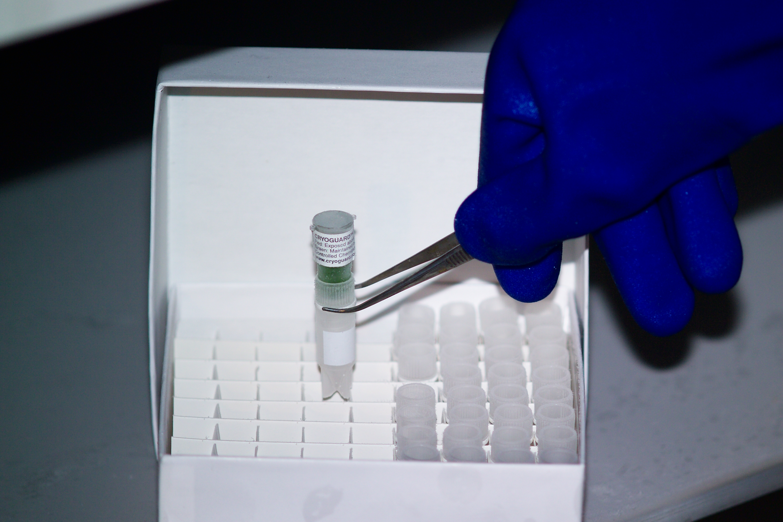 cryoguard-fitted-into-lid-removing-from-cryobox.jpg cryoguard-fitted-into-lid-removing-from-cryobox.jpg