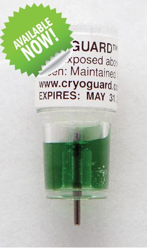green-available-now.jpg